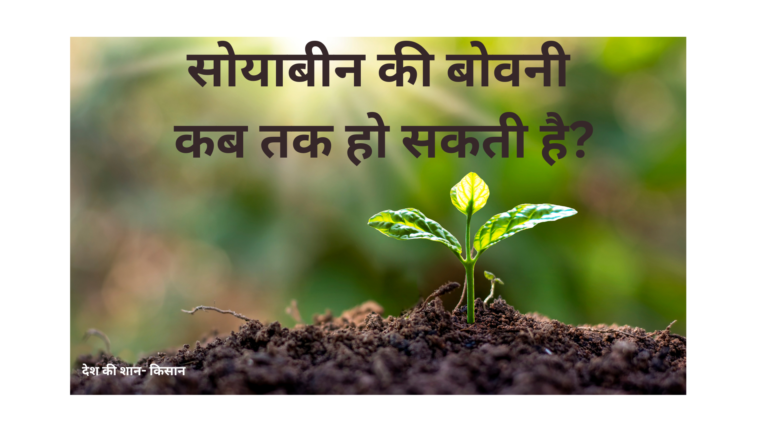 A image create by help of canva. the purpose of the image is about farming and seeds.