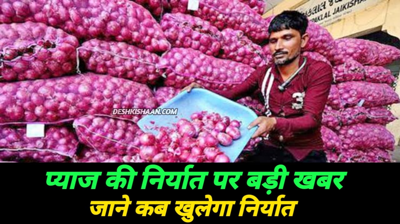 Export Of Onion News